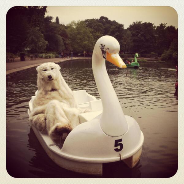 KOSVids's tweet image. and another one..