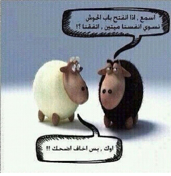حساويه وافتخر (@3thareyb) on Twitter photo 