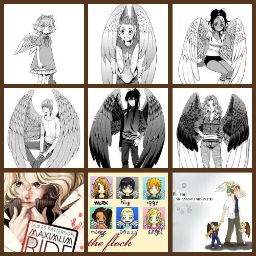 MaximumRide98's tweet image. 