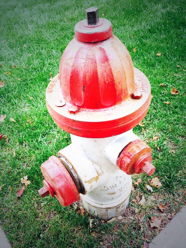 WhitneyyBaker's tweet image. #JeffCity #MoCapitol