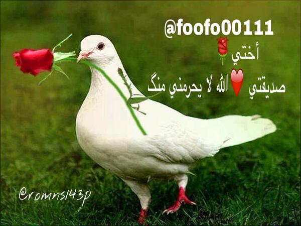3__sl's tweet photo. @foofo00111 http://t.co/ZuMRpqKp1C