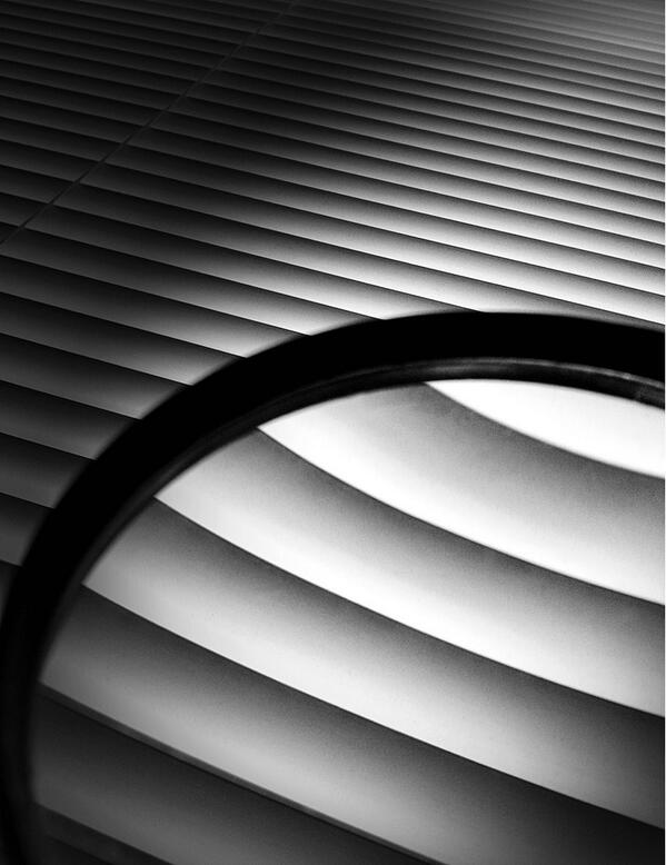 MobiTog's tweet photo. #iMages @ #MobiTog "A Mono Magnification" by Kevin Barrett
http://t.co/Dx2yjGGekj
#ClearCam #DramaticB&W #MonoPix http://t.co/iJt3eZOSok