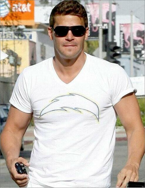 davidboreanazagenteseeleybooth