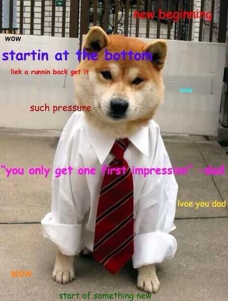 such_shibe's tweet photo. http://t.co/joEY6u1l58