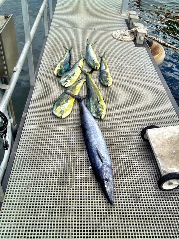 Rascal Charters tweet media