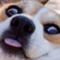 lysbIancs's tweet image. MICHAEL CLIFFORD IS AWAKE