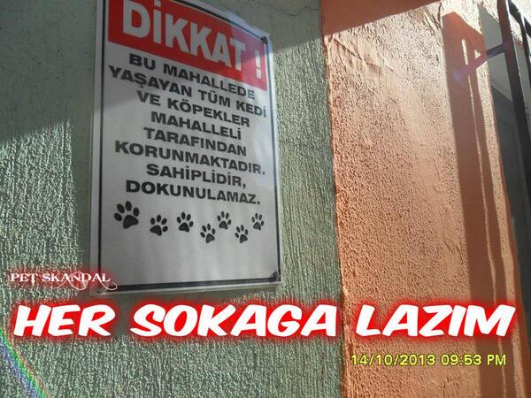 Ne zaman her sokakta bu tabelalardan olacak,
İşte o zaman burası daha yaşanılası bir ülke olacak..