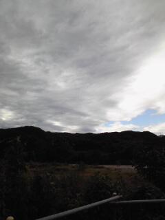 kuminrun's tweet image. 