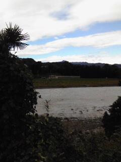 kuminrun's tweet image. 