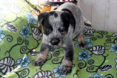 nicole furst tweet media