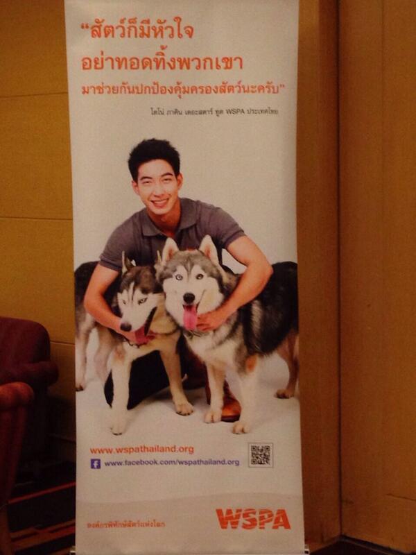 ภาพลิงค์ที่แปะไว้