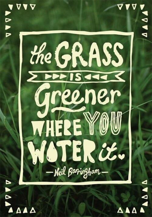 SuperiorLawnsAU's tweet photo. The Grass is Greener... #lawncare #lawnlove #water http://t.co/E2Rc1EgC0C