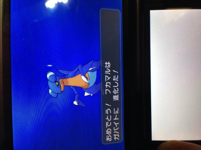 ポケットモンスターxy 色違いポケモン攻略 報告画像集 25 49 Renote リノート