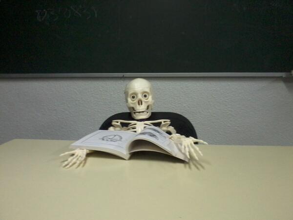 sorio94's tweet photo. Lo normal en clase http://t.co/0oUheEEfcy
