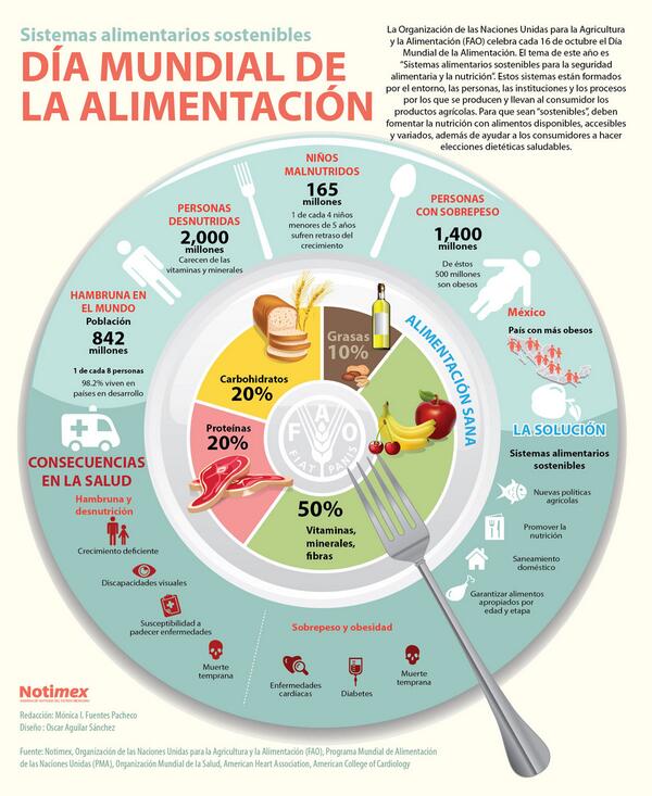 Día mundial de la alimentación: cuáles son los esenciales en un