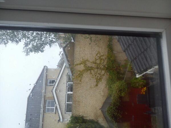 paulbehan1990 tweet picture