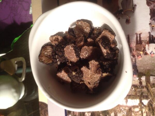 CaveaudePy's tweet image. 부르고뉴 생 트러플