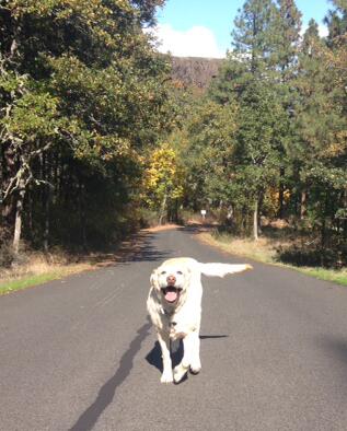 kristintripp's tweet photo. @tannertripp She misses you too! http://t.co/OwCrLE29V7