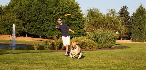 Fetchbee's tweet image. Fun in the park with the #Fetchbee #dogs