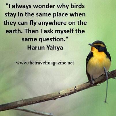 TravelMagazine's tweet photo. Have you ever asked yourself this question? #travelquote http://t.co/AFgpcj8k8A