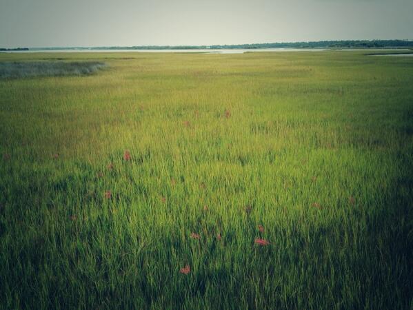Soundside. Low tide. #topsail #nc <a href="/ourstatemag/">Our State Magazine</a>