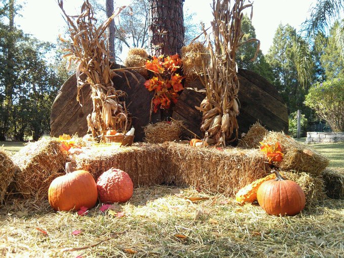 Like my holiday setup I made? I love holiday themed shoots! They are so fun.. http://t.co/YTdGaOtgC9<a href="/tag/gymlife"class="tags"><span>#gymlife</span></a><a href="/tag/fitchick"class="tags"><span>#fitchick</span></a>