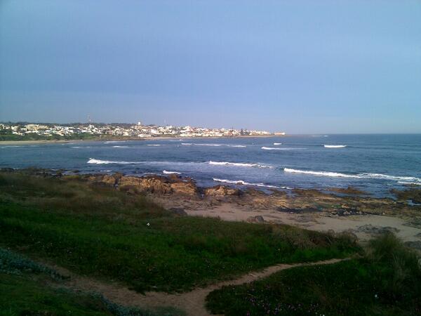 vivieleste tweet picture