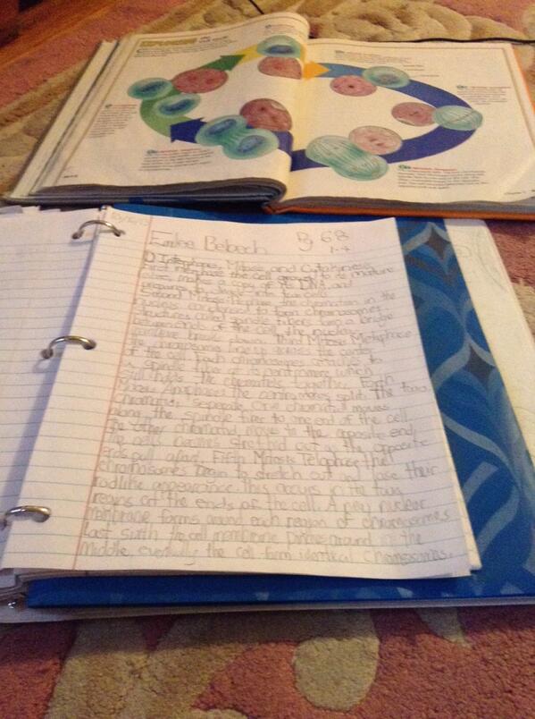 MoronMadden's tweet image. Oh look answer 1 is finally done..😑 now 3 more questions to go! UHHH yay! 😑😑😑 #IHateHomework