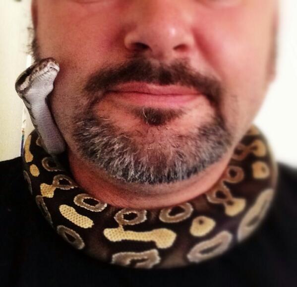 Mahjouba Vogel tweet media