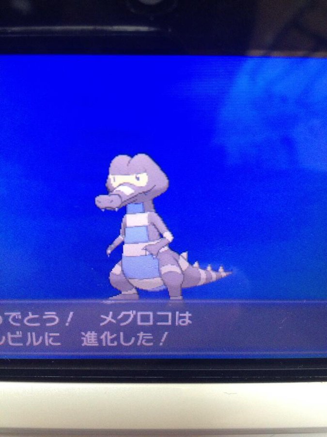 ポケットモンスターxy 色違いポケモン攻略 報告画像集 23 49 Renote リノート