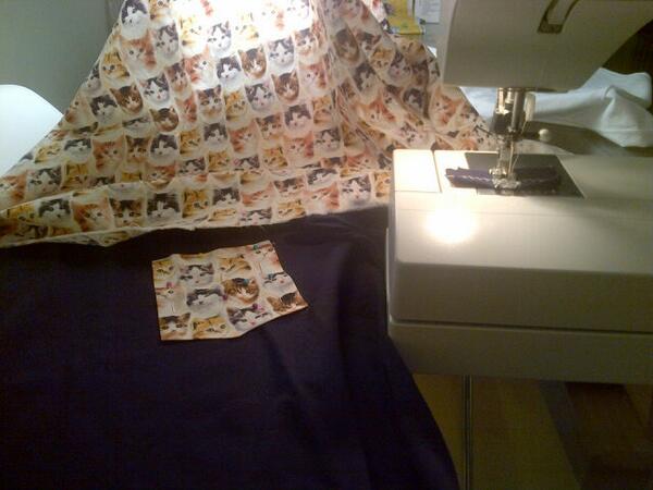 Cats on cats on cats #cats