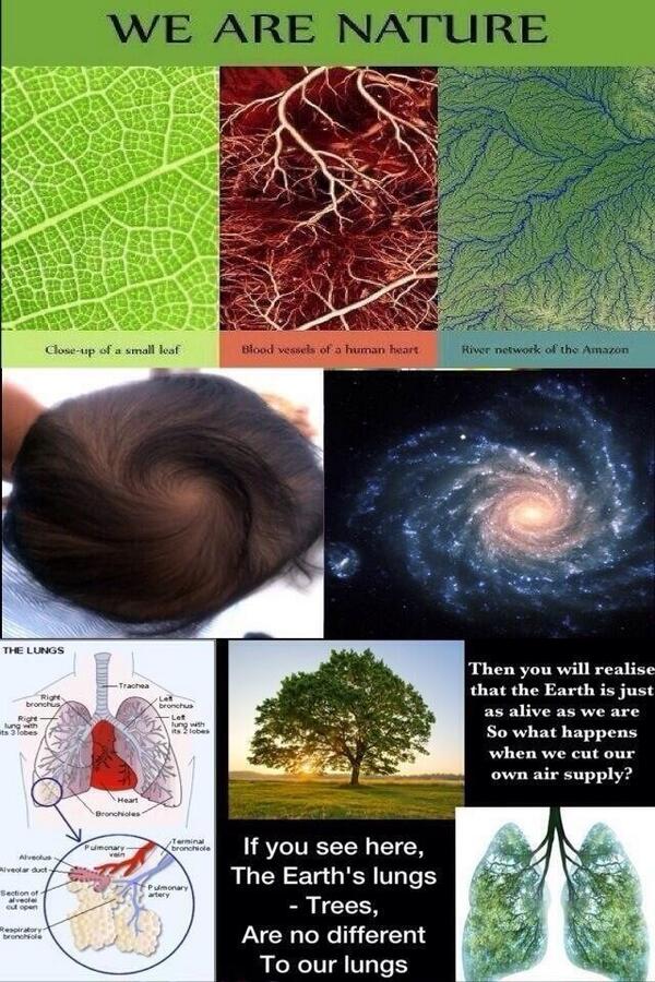 aRealistView's tweet image. Can you see the nature of this photo? RT “@PNauticExpress: Ok. I give up. http://t.co/h9r0CvdZLQ”