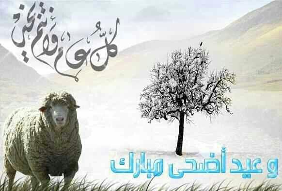khaledss1122's tweet photo. http://t.co/ZcCdXX2VS0