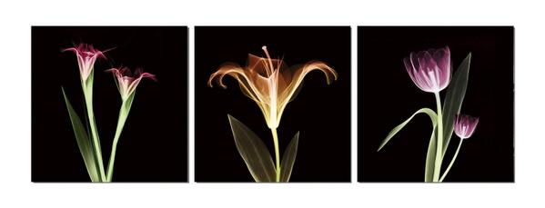 DecosoftART's tweet image. 