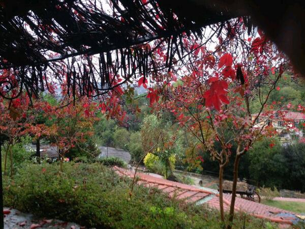 ozgedragon's tweet photo. Guzelcehisar!!!herkes gitmeli bence http://t.co/Mdbh5QxRdK