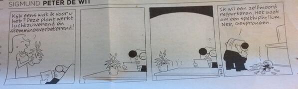 Een grappige Spathiphyllum... Ze zijn niet alleen luchtzuiverend; ze hebben ook humor! ;-)