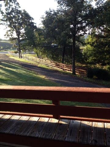 SA Heifer tweet media