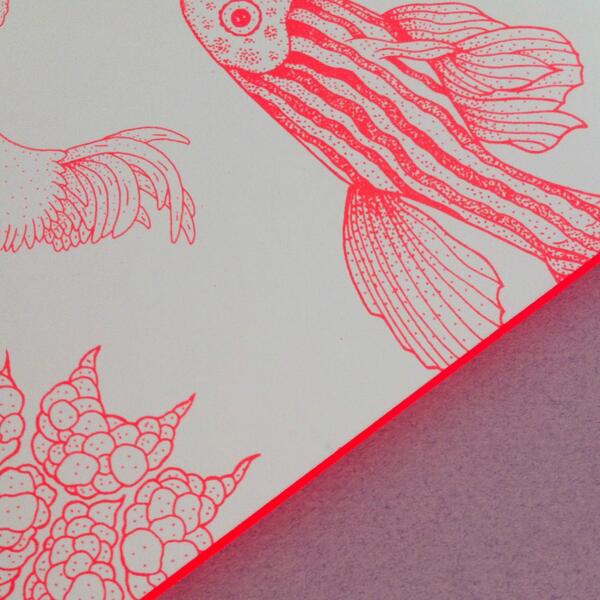 FranklinTill tweet media