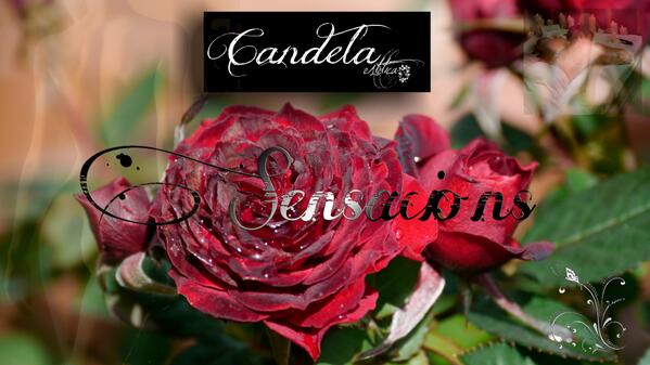 Candela Estètica  (@lasercandela) on Twitter photo 