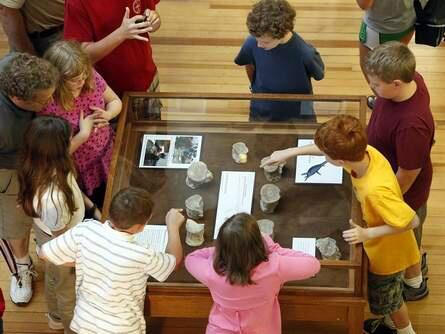 #Alabama Museum of Natural History and #3dprinting 
tuscaloosanews.com/article/201310…