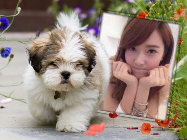AuliaKimmy's tweet photo. cute,,, http://t.co/z5zMU8FvO3