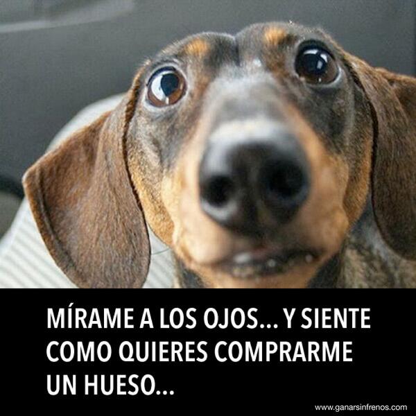 sergidlt's tweet photo. #buenisima http://t.co/rY7Id5qkBP