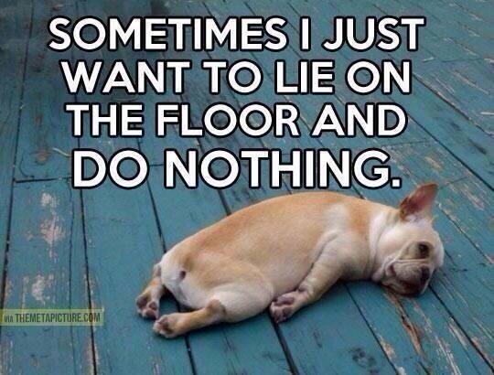 "<a href="/ScottGShore/">Scotty T MBE</a>: Haha :) "<a href="/JamesGShore/">James Tindale</a> <a href="/Misskthorne/">Kate Thorne</a> Arnie after leg workout ha