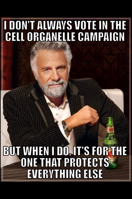 realcellwall's tweet photo. Vote Cell Walls! #cellwall4prez #organellewars http://t.co/WNGuDFFNAF