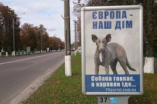 BX1C5RlCYAAPxfZ.jpg:large