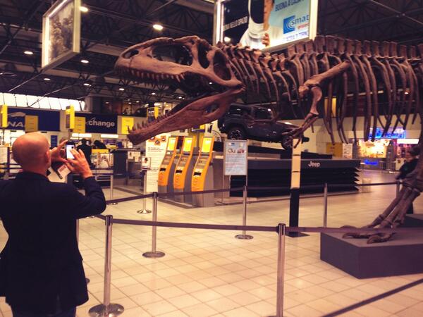 ci manchera #Dino <a href="/AeroportoTorino/">Aeroporto di Torino</a>. grazie <a href="/MRSNTORINO/">MRSN Torino</a> <a href="/Michele_Coppola/">Michele Coppola</a> @piemonte_is i passeggeri continuano a fa