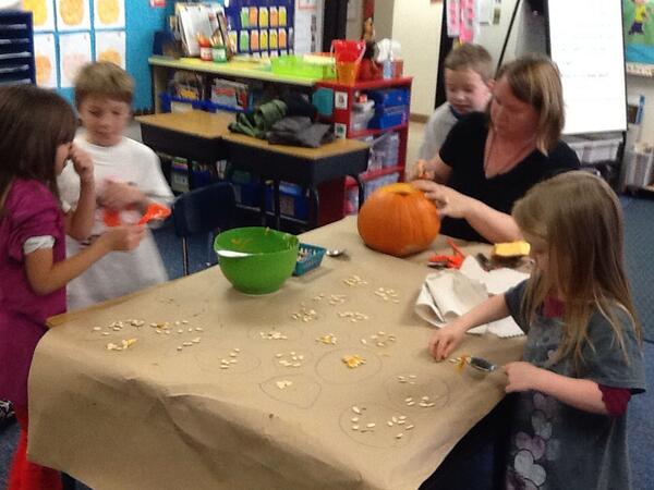 Pumpkin goo and seeds...