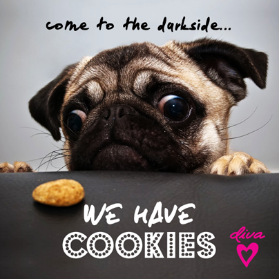 divaaccessories's tweet photo. Come over to the dark side... #HappyHalloween #pug #iwantacookie #diva #divaaccessories http://t.co/MUpibCQM8C