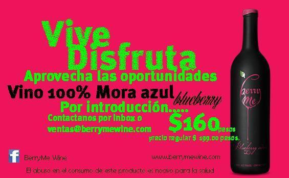 wineartmx's tweet photo. @Berrymewine vino 100% moral azul hecho en Jalisco, por lanzamiento precio especial de $160 pesos #vinoMexicano http://t.co/bPDY6L0SRt