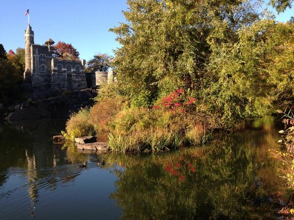 AltMindBody's tweet image. Even in a city as crowded as #NYC, nature can still sooth the spirit. Autumn in #CentralPark: